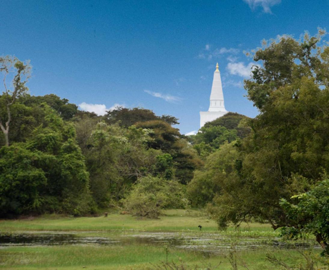 Dula Lake Resort Anuradhapura Buitenkant foto