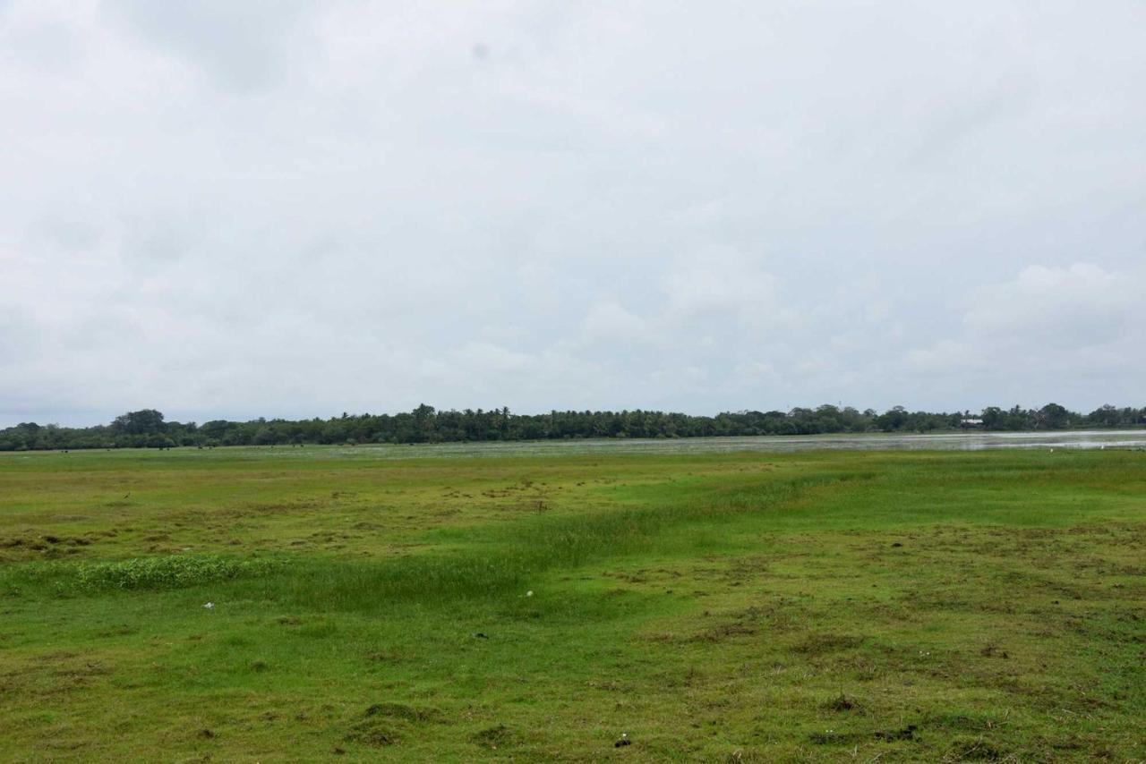 Dula Lake Resort Anuradhapura Buitenkant foto